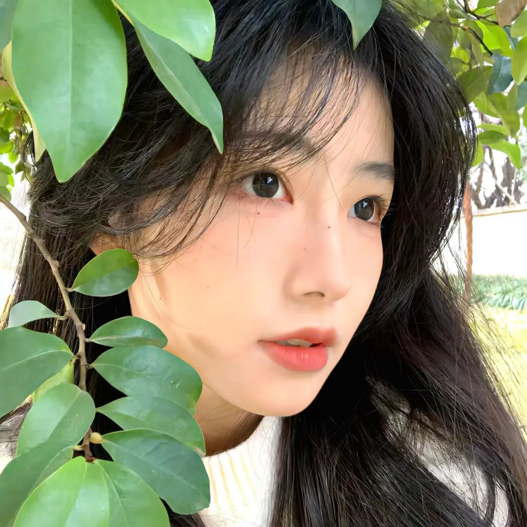 主妇侦探社